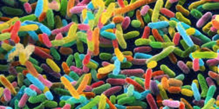 Me, Myself and My Microbiome: We Are Not Alone