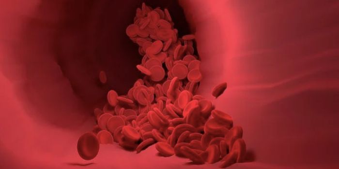 For Blood Stem Cells, Size Matters