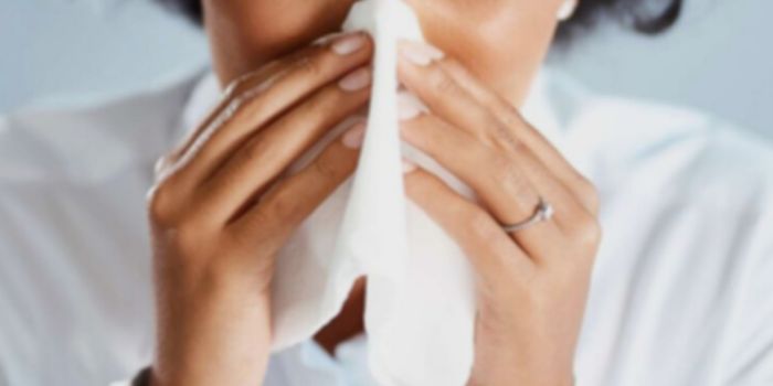 What Triggers a Sneeze?