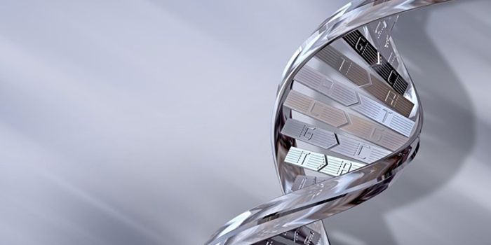 Non-Coding RNAs Aren't As Irrelevant As We Thought