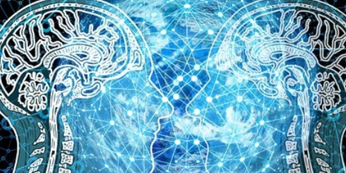 A Brain-Body Imaging System for Neurological Diagnostics