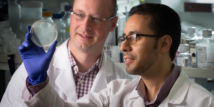 Relieving "Exhausted" Immune Cells To Kill Cancer