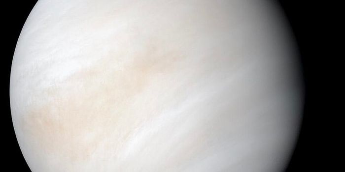 Could Life Exist in Venus Clouds?