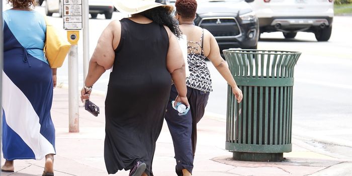 Inflammation Links Obesity and Breast Cancer