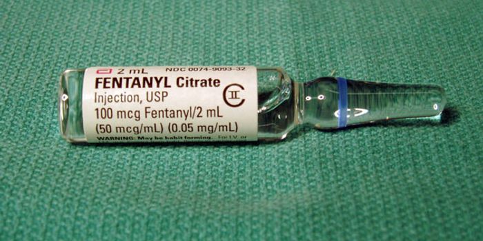 Vaccine to Fight Opioid Overdose and Addiction