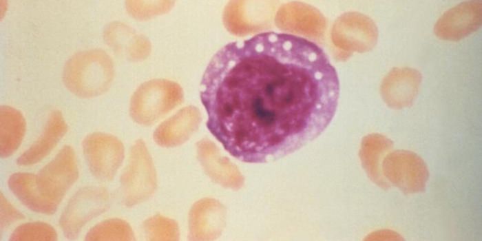 Super-Spreader Events Promoted 2018-2019 Hantavirus Outbreak