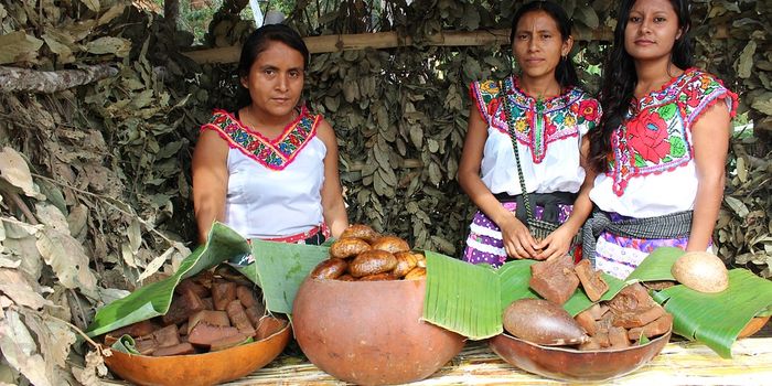 Indigenous and local knowledge is crucial to biodiversity monitoring