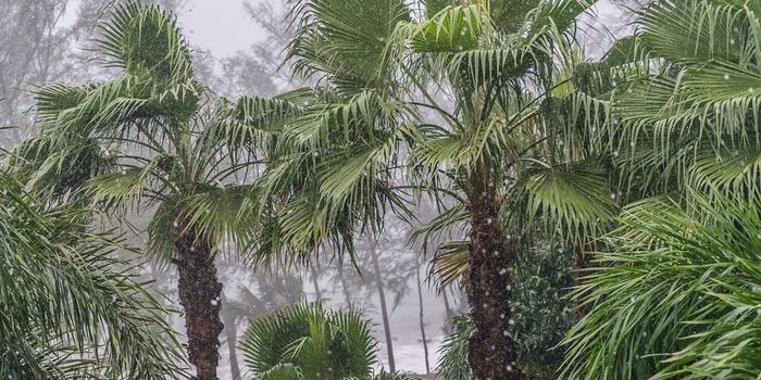 Reading the history of monsoons