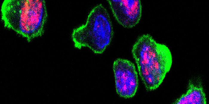 New Approach to Treating Autoimmune Disease: "PPCA"