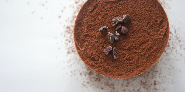 Optimal Cocoa Bean Roasting Can Make Chocolate Edible Without Sugar