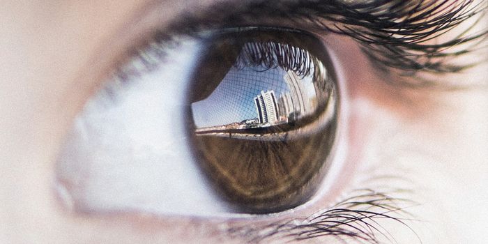 How Visual Maps are Generated in the Brain