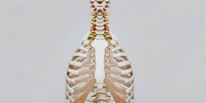 Potential Bronchodilator for COPD diseases