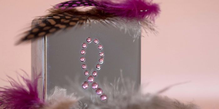 Scientists Reveal How Immune Cells can Drive Tumor Progression