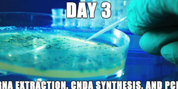 A Look at the Process of Transfecting Cells