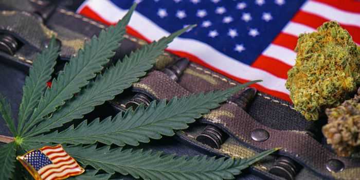 Lawmakers Approve VA Healthcare Provision Allowing VA to Research Medical Cannabis for Veterans