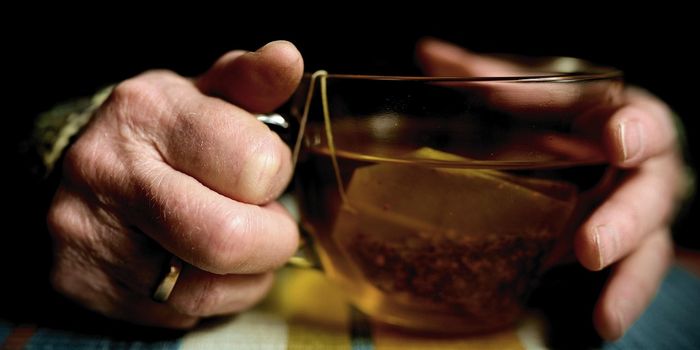 Novel Target Found to Regulate Inflammation