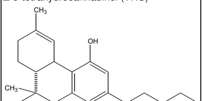 Another Look at Adolescent THC Exposure