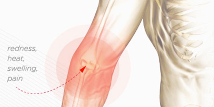 Inflammation Regulation: The Mechanism Behind It