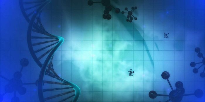 Using Transcription Factors to Predict Bladder Cancer Prognosis