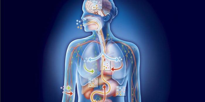 Controlling the Immune Response Of Intestinal Cells