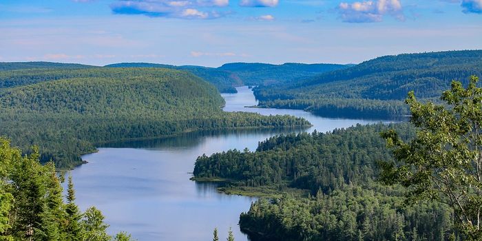 Climate change is re-wiring food webs in Ontario lakes