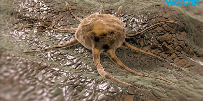 Stem Cells for Stroke Recovery?