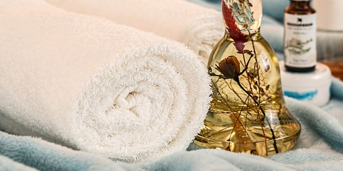 Potential Plant-Based Preservative in Skincare: Achyrocline satureiodes Hydroalcoholic Extract