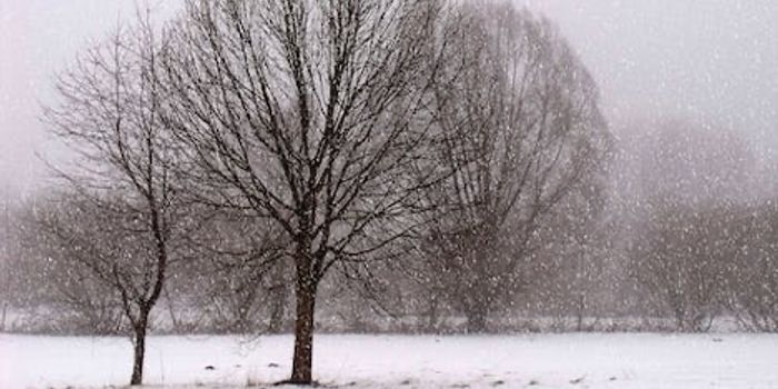 Cold Weather and High Blood Pressure