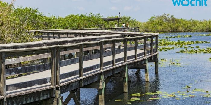 Federal Employee Manipulated Environmental Data