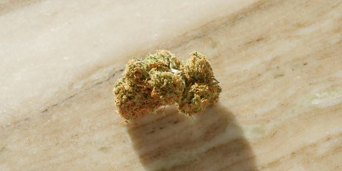 The Energizing Effects of the Cannabis Compound THCV