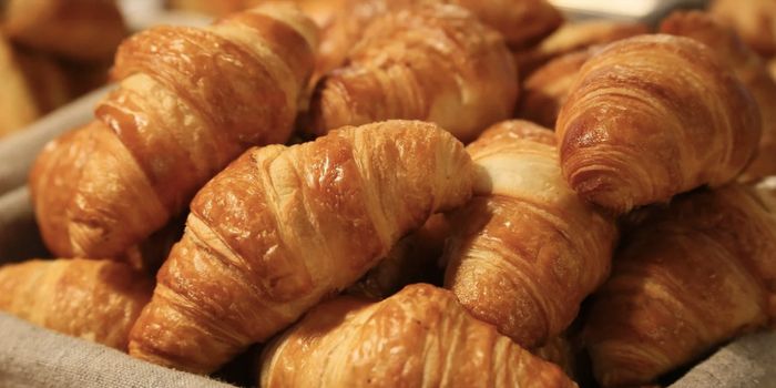 Insight Into How Food Texture Affects Taste