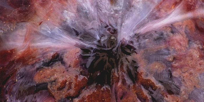 Understanding When Recovery is Going Well, or Not