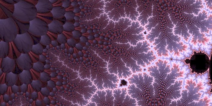 Chandipura - An Outbreak of the Deadly Virus Has Killed at Least 38 Kids in India