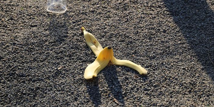 Powering Greenhouses Using Food Waste