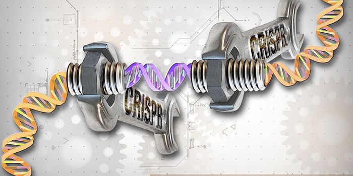 Novel Enzyme can Make Precise Base Pair Edits