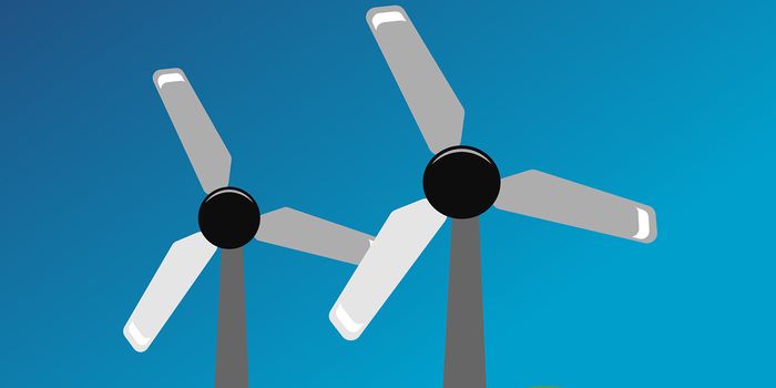 The Ecological Impact of Wind Energy