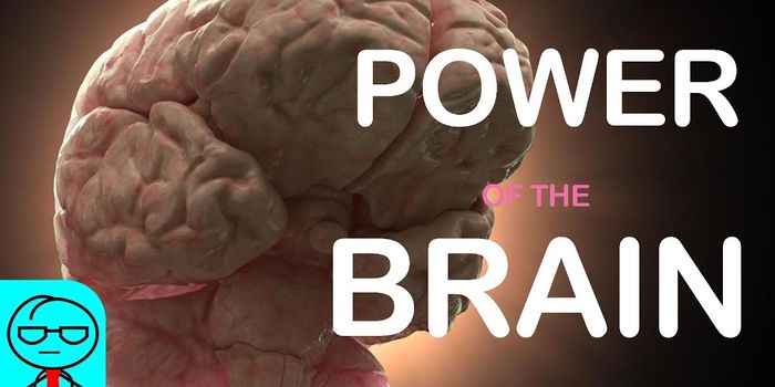 The Human Brain vs. Artificial Intelligence