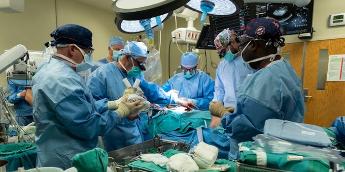 New Type of Artificial Heart Tested in Several Patients Shows Promise