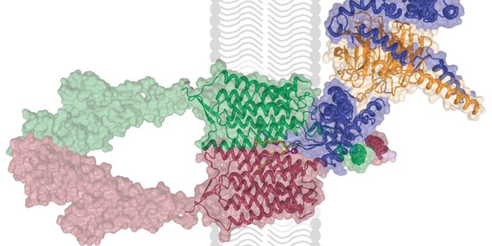Understanding an Unusual Receptor That's Linked to Depression