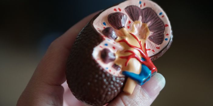 Rewriting Genetic Destiny: Gene Therapy's Promise for Childhood Kidney Disorders