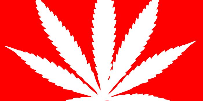 Breaking Cannabis Policy News: Jeff Sessions vs. Cannabis Legalization