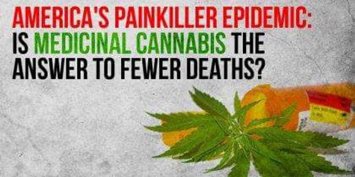 From Gateway Drug to Exitway Drug: How Cannabis is Saving America from the Opioid Epidemic