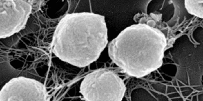 Versatile Protein May Have Existed on Earth Before Oxygen