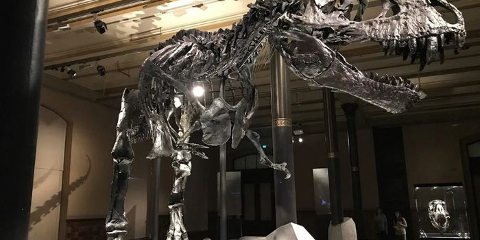 Confirmation Bias or Captivating Discovery? Paleontology at the Tanis Site, North Dakota