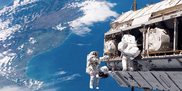 Bone Density Changes in Space Linked to the Gut Microbiome