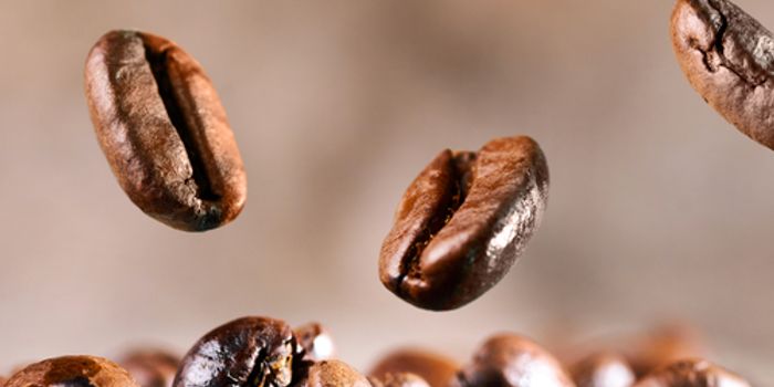 Coffee Protects DNA From Breaking, Say Two Recent Studies