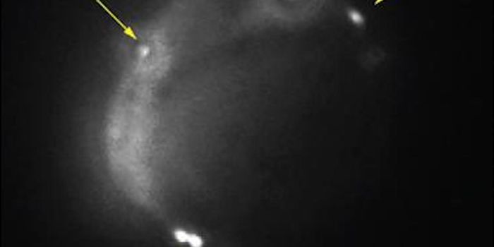 RNA Found on the Surface of Human Cells