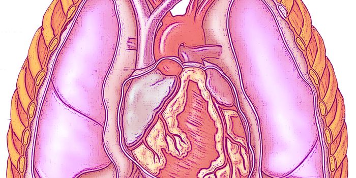 Why Heart Disease Is on the Radar With Cystic Fibrosis
