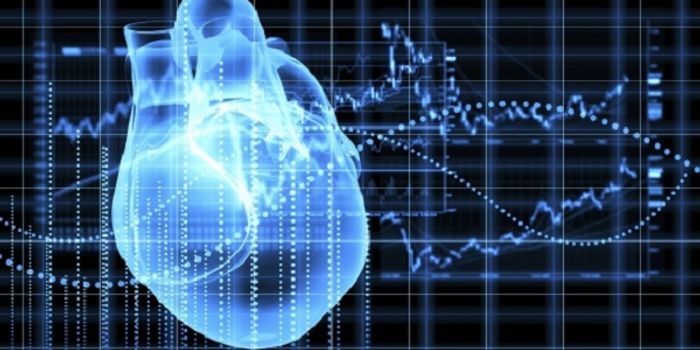 Turbo-Charging Hormone Can Regrow the Heart