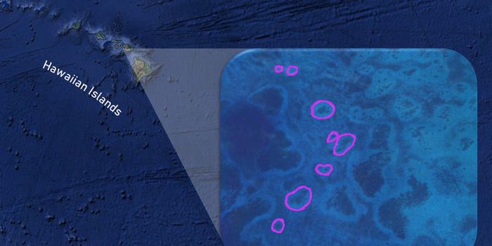 Reef Halos Monitored from Space Using Artificial Intelligence